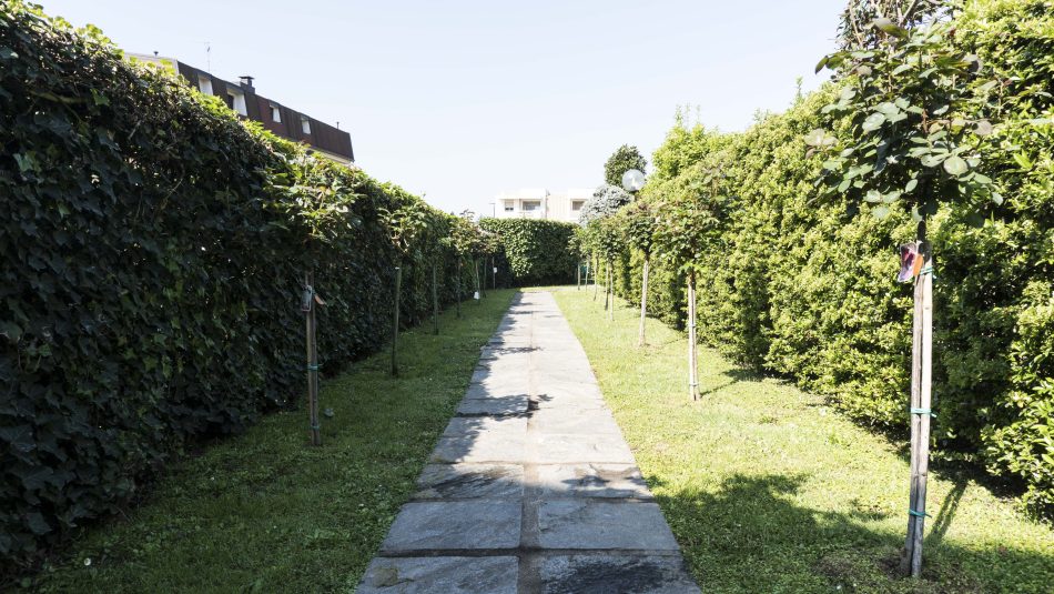 Garden alley